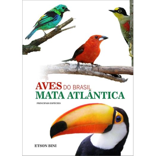 Aves do Brasil - Mata Atlantica - Homem Passaro