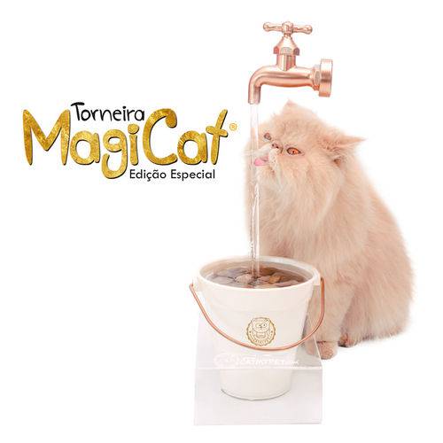 Tudo sobre 'Bebedouro Torneira para Gatos Magicat Edição Especial Gold 220v'