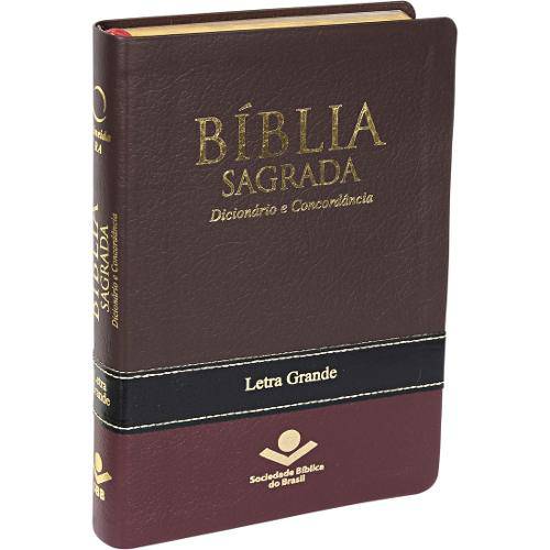 Bíblia com Dicionário e Concordância - Revista e Atualizada - Letra Grande - Tritone Masculina