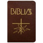 Bíblia de Aparecida Bolso - Zíper Marrom