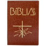 Bíblia De Aparecida - Bolso Zíper Marrom