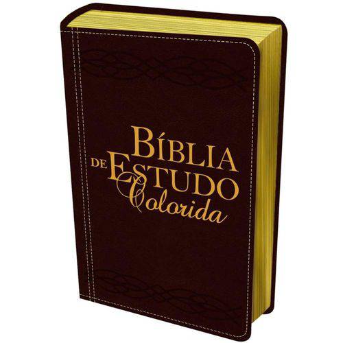 Bíblia de Estudo Colorida - Letra Grande