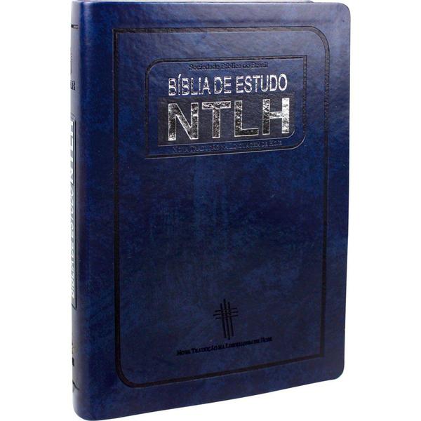 Bíblia de Estudo NTLH Grande - Sbb