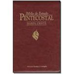 Biblia de estudo pentecostal-media harpa - (vinho)