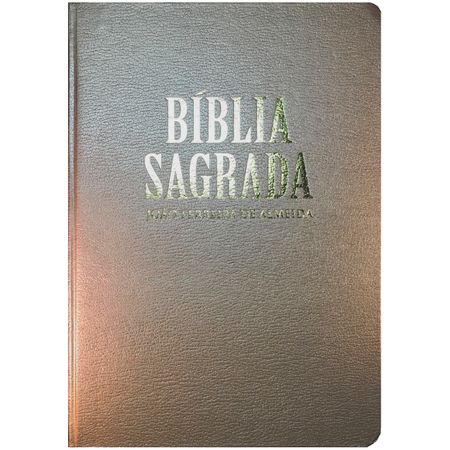 Tudo sobre 'Bíblia Letra Extra Gigante Luxo RC Bronze'