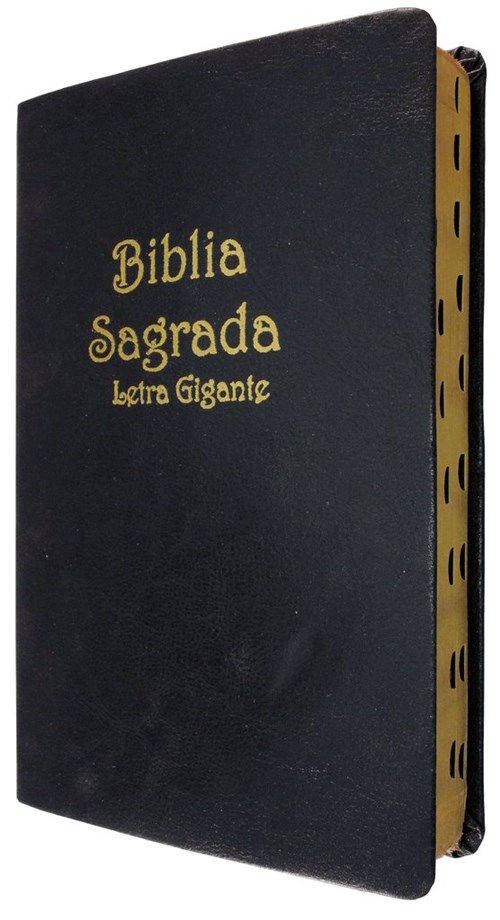 Bíblia Letra Gigante - Capa Luxo Preta