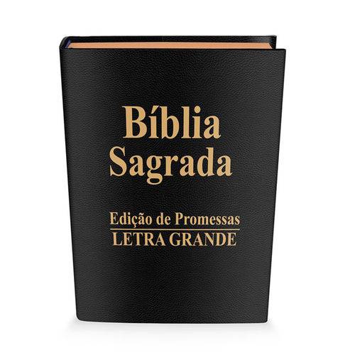Biblia Letra Grande Luxo Preta