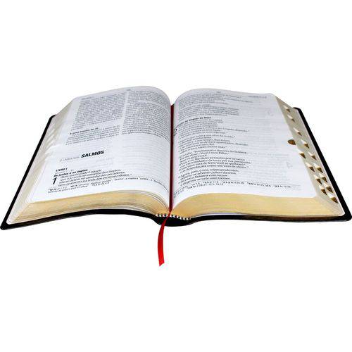 Biblia Nova Almeida - Letra Gigante - Luxo Marrom Nobre com Indice