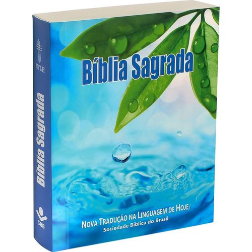 Tudo sobre 'Bíblia Ntlh Edição Econômica Capa Brochura'