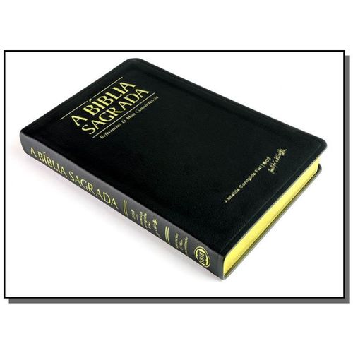 Bíblia Remc Grande Luxo Preta (código 3301)