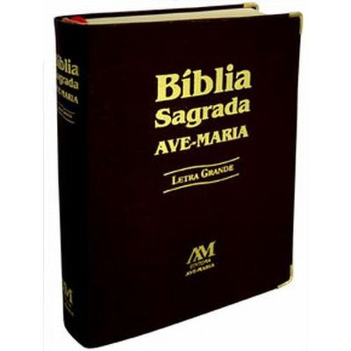 Biblia Sagrada Am com a Letra Grande - Preta