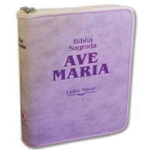 Tudo sobre 'Biblia Sagrada Ave Maria - Letra Maior - Strike Rosa Ziper'