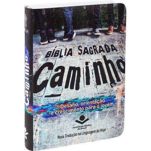 Bíblia Sagrada Caminho para Jovens e Adolescentes - Semi Flexivel Ilustrada