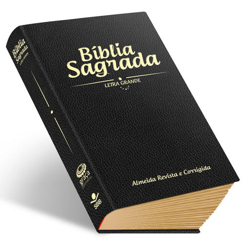 Bíblia Sagrada com Letra Grande - Capa Flexível Preta Rc