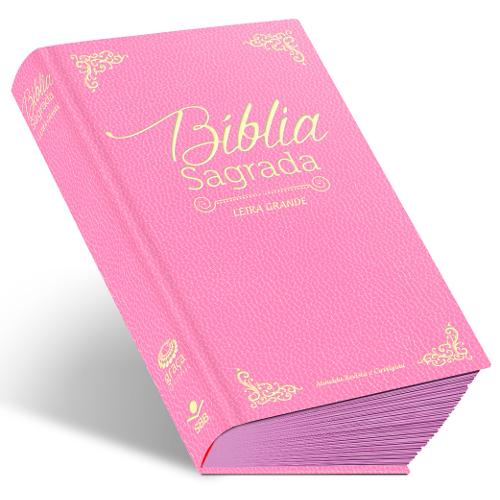 Tudo sobre 'Bíblia Sagrada com Letra Grande - Capa Flexível Rosa Rc'
