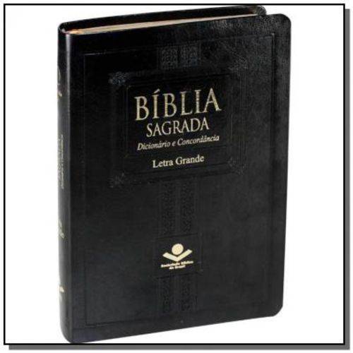 Tudo sobre 'Bíblia Sagrada Dicionário e Concordância'