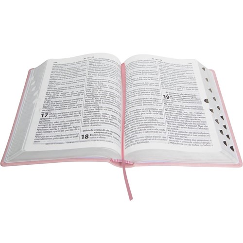 Bíblia Sagrada Emborrachada Rc - Letra Gigante com Índice - Rosa
