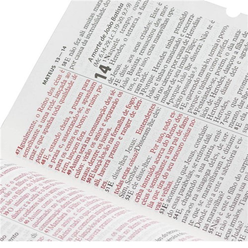 Bíblia Sagrada Grande com Letra Gigante e Índice - Rc (pink)