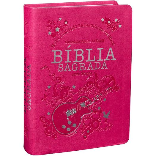 Tudo sobre 'Biblia Sagrada Letra Grande - Capa Pink - Sbb'