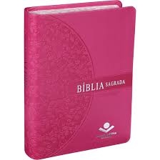 Biblia Sagrada - Letra Grande - Capa Rosa Escuro - Sbb - 1