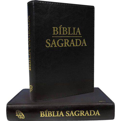 Tudo sobre 'Bíblia Sagrada - Nova Tradução na Linguagem de Hoje (Letra Grande)'