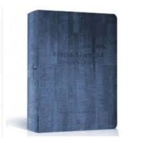 Bíblia Sagrada Nvi Letra Extra Gigante Azul