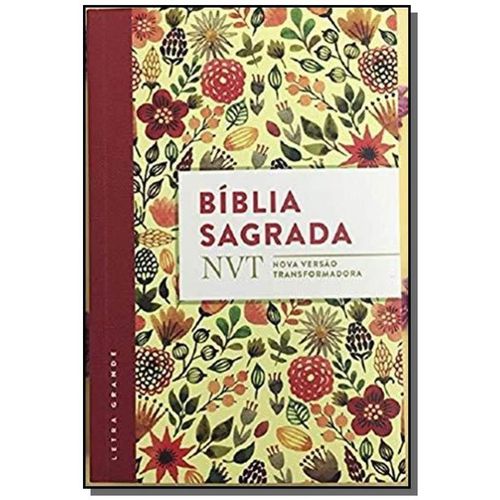 Biblia Sagrada - Nvt - Aquarela Letra Grande - Mun