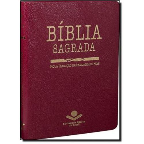 Bíblia Sagrada para Evangelização