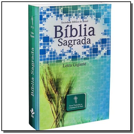 Biblia Sagrada Revista e Atualizada com Letra Gi06