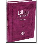 Bíblia Sagrada - Revista e Corrigida com Letra Gigante