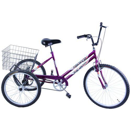 Tudo sobre 'Bicicleta Triciclo Aro 26 Cor Violeta'