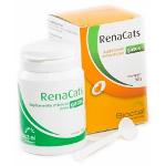 Bioctal Renacats 50g - Suplemento para Gatos com Doença Renal