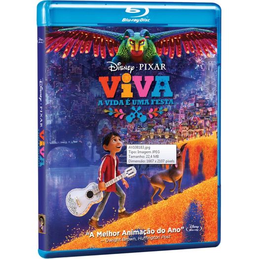 Blu-Ray Viva - a Vida é uma Festa