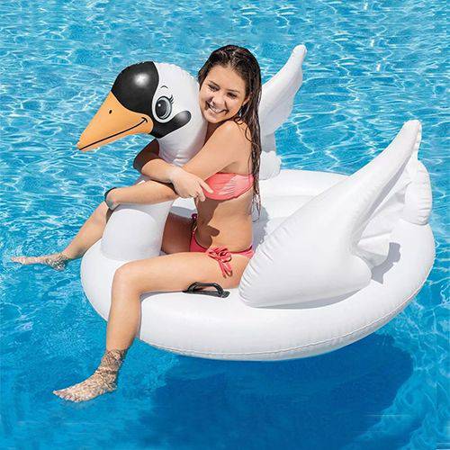 Boia Média Cisne - Intex