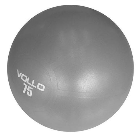 Bola de Ginástica Gym Ball com Bomba - Vollo Sports VP1036