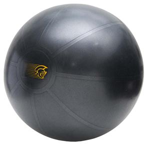 Bola de Ginástica Pretorian Fit Ball 55cm - Cinza