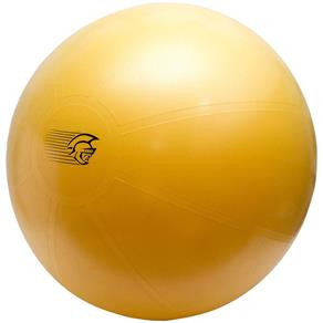 Bola de Ginástica Pretorian Fit Ball PRO 75cm, Amarela