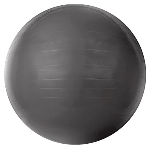 Bola de Pilates Acte T9-75 Gym Ball Pvc 75Cm Cinza