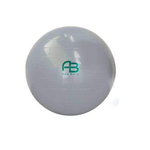 Bola para Exercicios Gym Ball 65cm com Dvd Bomba Carci Cinza