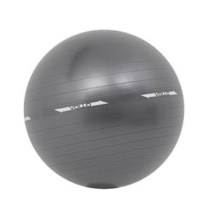 Bola Pilates Gym Ball com Bomba 75cm VP1030 Vollo