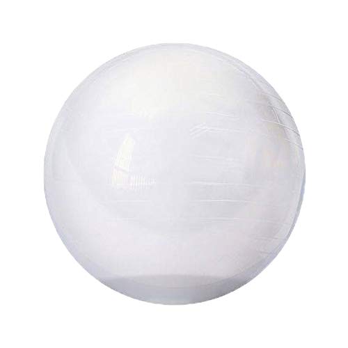 Bola Suiça Gym Ball 65cm T9-T Acte Sports Transparente