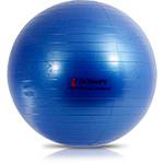 Bola Suíça P/ Exercícios Azul 65cm - Bioshape