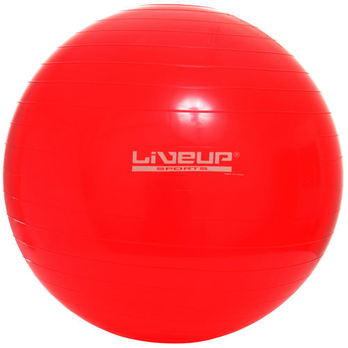 Bola Suíça para Pilates 45 Cm - Liveup Ls3221 45