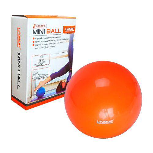Tudo sobre 'Bola Tipo Overball Orange Ball para Pilates Fisioterapia de 25 Cm Anti Estouro Liveup Cor Laranja'