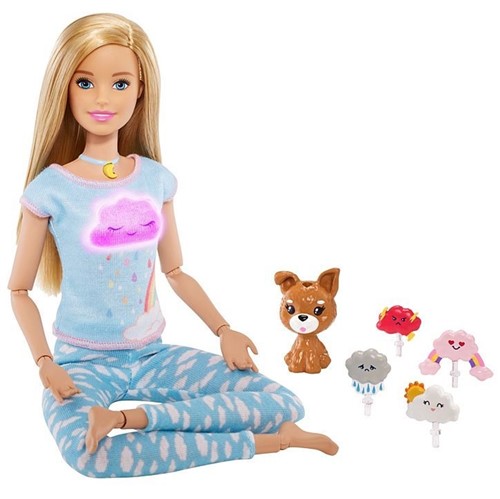 Boneca Barbie Fashionistas Medita Comigo Gnk01 - Mattel