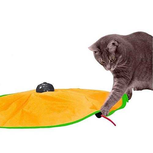 Brinquedo Interativo para Gatos Cats Toy CBR03280