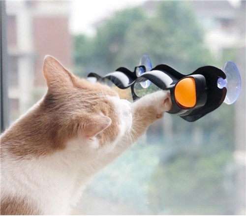 Brinquedo para Gatos Cat Pet Interativo com Bolinhas Ventosa