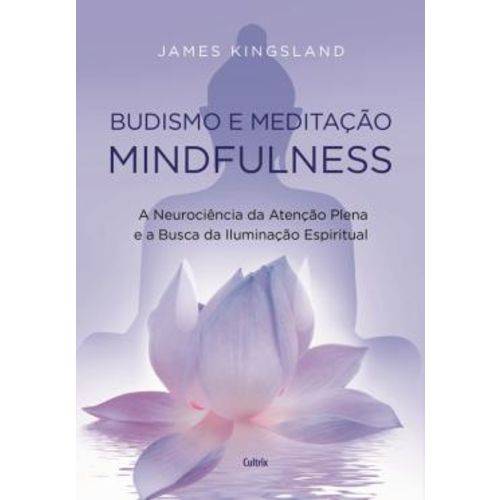 Budismo e Meditacao Mindfulness