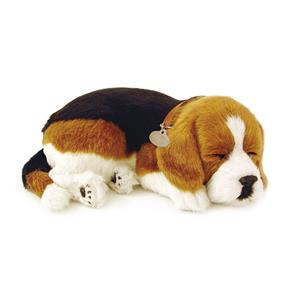 Cachorro Pelúcia Perfect Petzzz Beagle - Imex