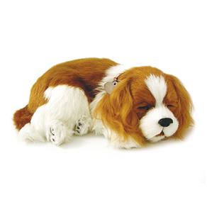 Cachorro Pelúcia Perfect Petzzz Cavalier King - Imex